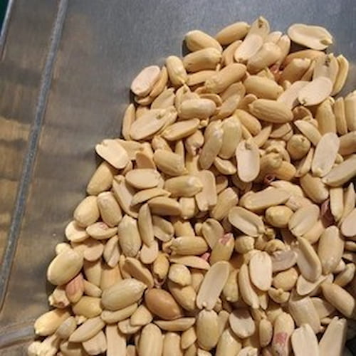 تصویر 5 از قیمت بادام زمینی کره گیری + پخش تولیدی عمده